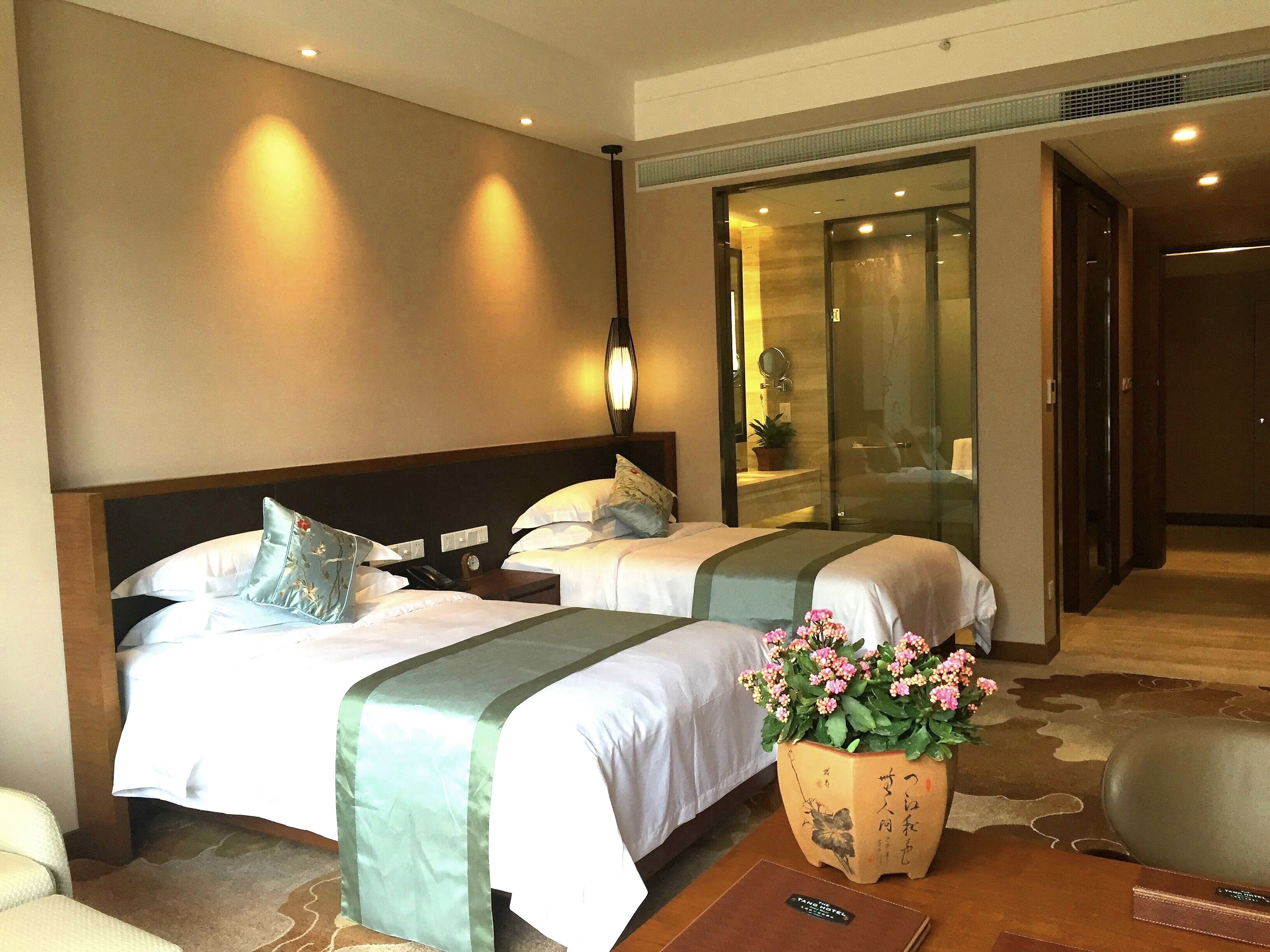 Habitación de hotel con dos camas, una mesita de noche, una lámpara, un espejo, una planta en maceta y suelo alfombrado.