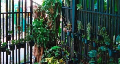 Decho Hostel