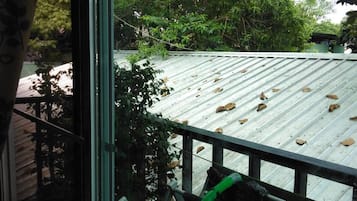 Bunk Bed in 4 Male Dormitory Room (Air) | Blick vom Balkon