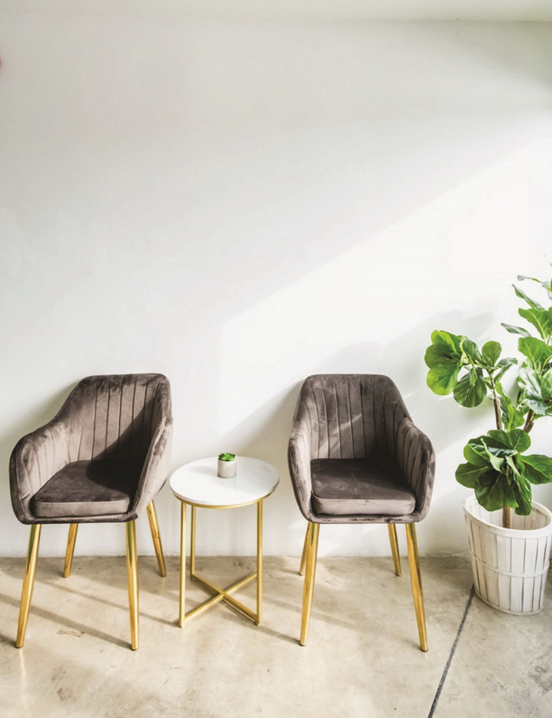 Deux fauteuils sombres en velours avec des pieds dorés, une petite table ronde blanche et une plante en pot.