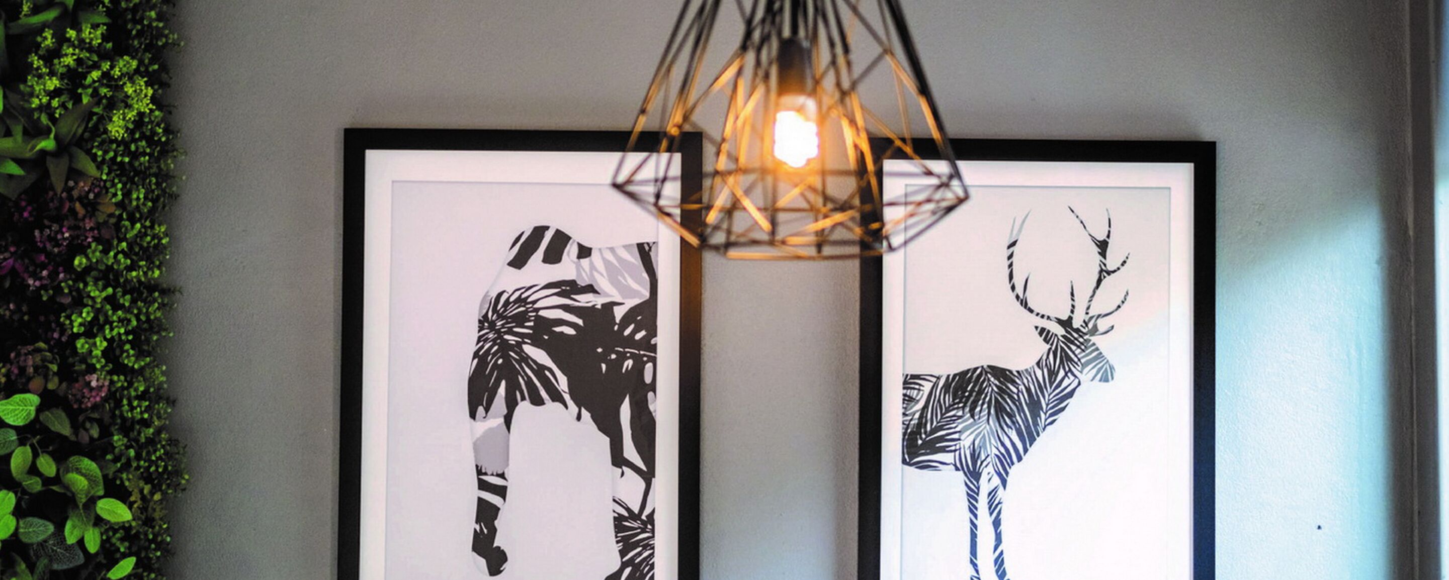 Two framed black and white animal prints on a wall, a geometric light fixture above, and a green leafy plant to the left.
