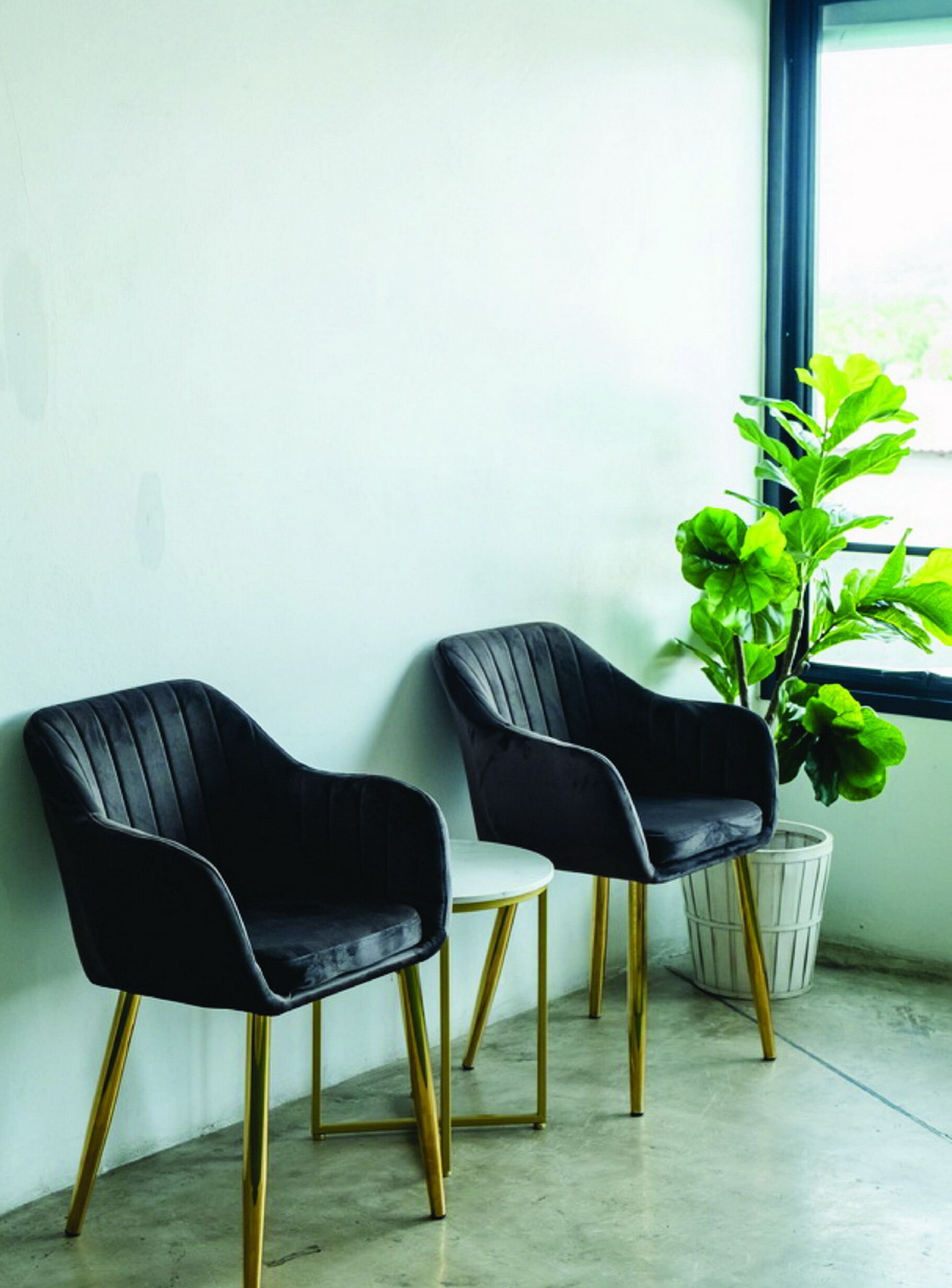 Deux chaises noires aux pieds dorés et une table blanche, placées contre un mur doté d’une grande fenêtre et agrémentées d’une plante en pot.