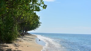 Ein Strand mit klarem, blauem Wasser, einem Sandstrand und üppiger, grüner Vegetation.