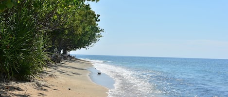 Vue depuis l’hébergement