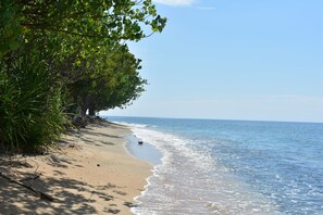 View from property - The Barari Villas (Pemuteran)