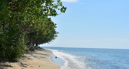 The Barari Villas