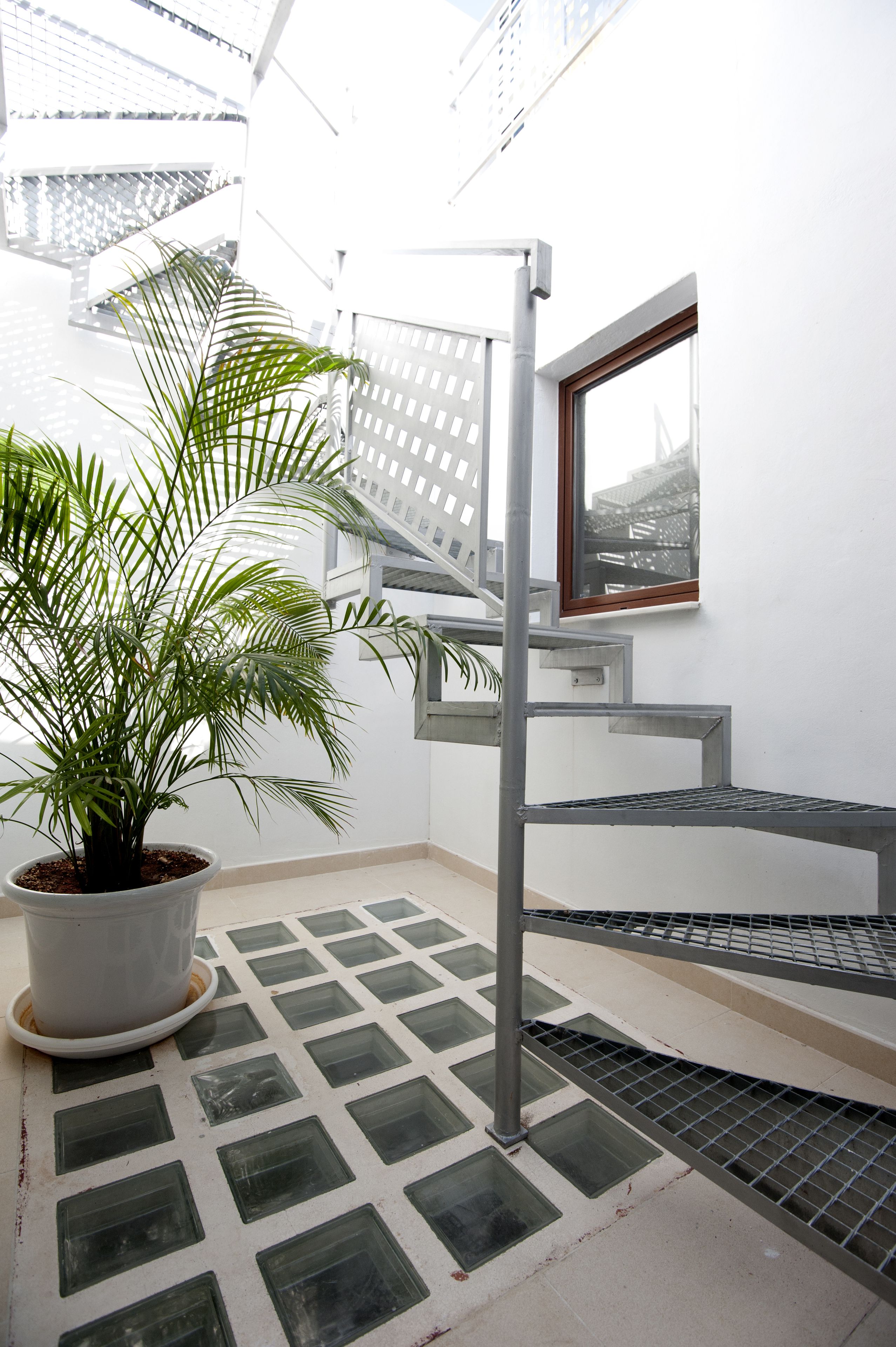 A potted palm plant, a metal staircase, and a window with a view of buildings.