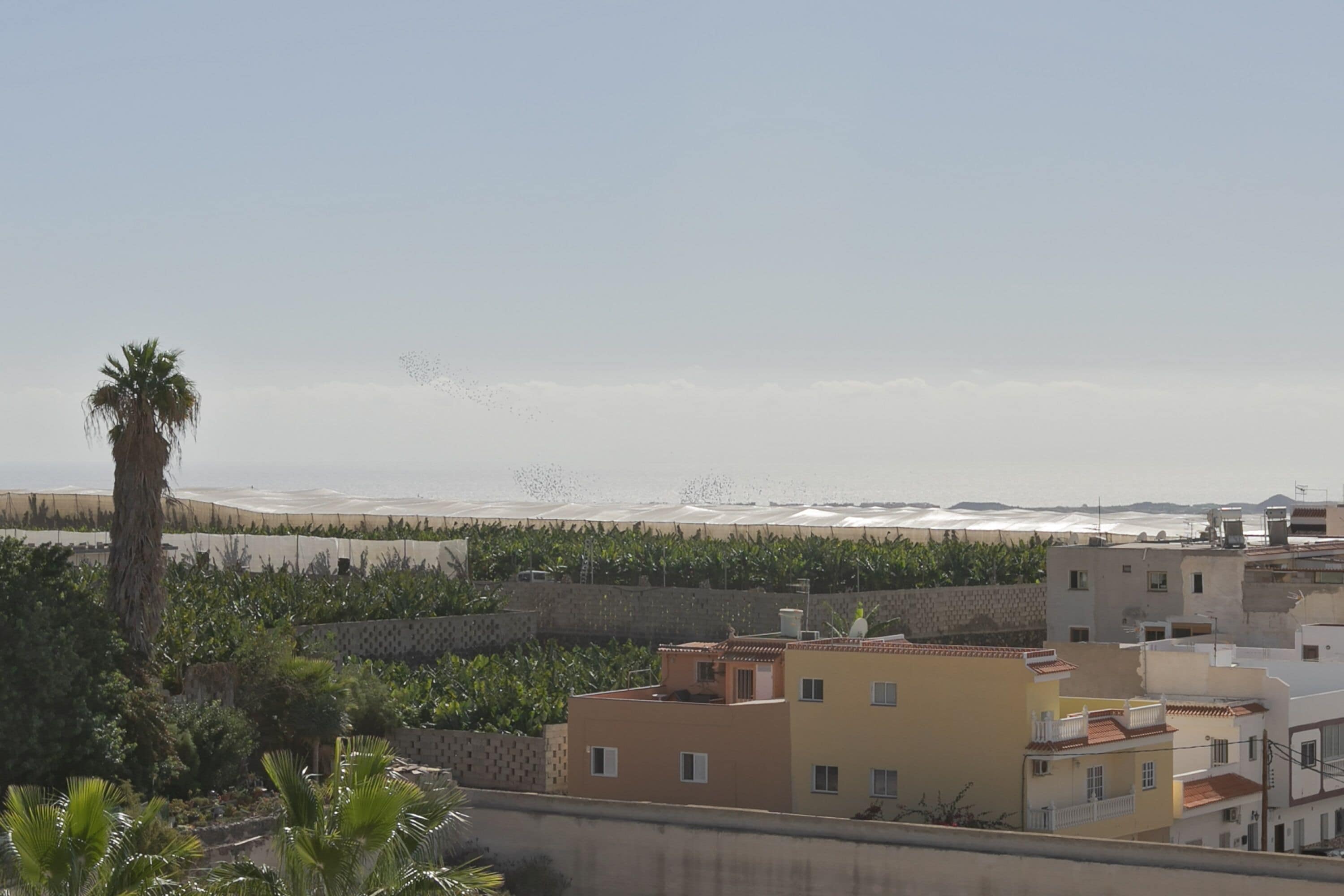 Foto - Hostel Neon Tenerife