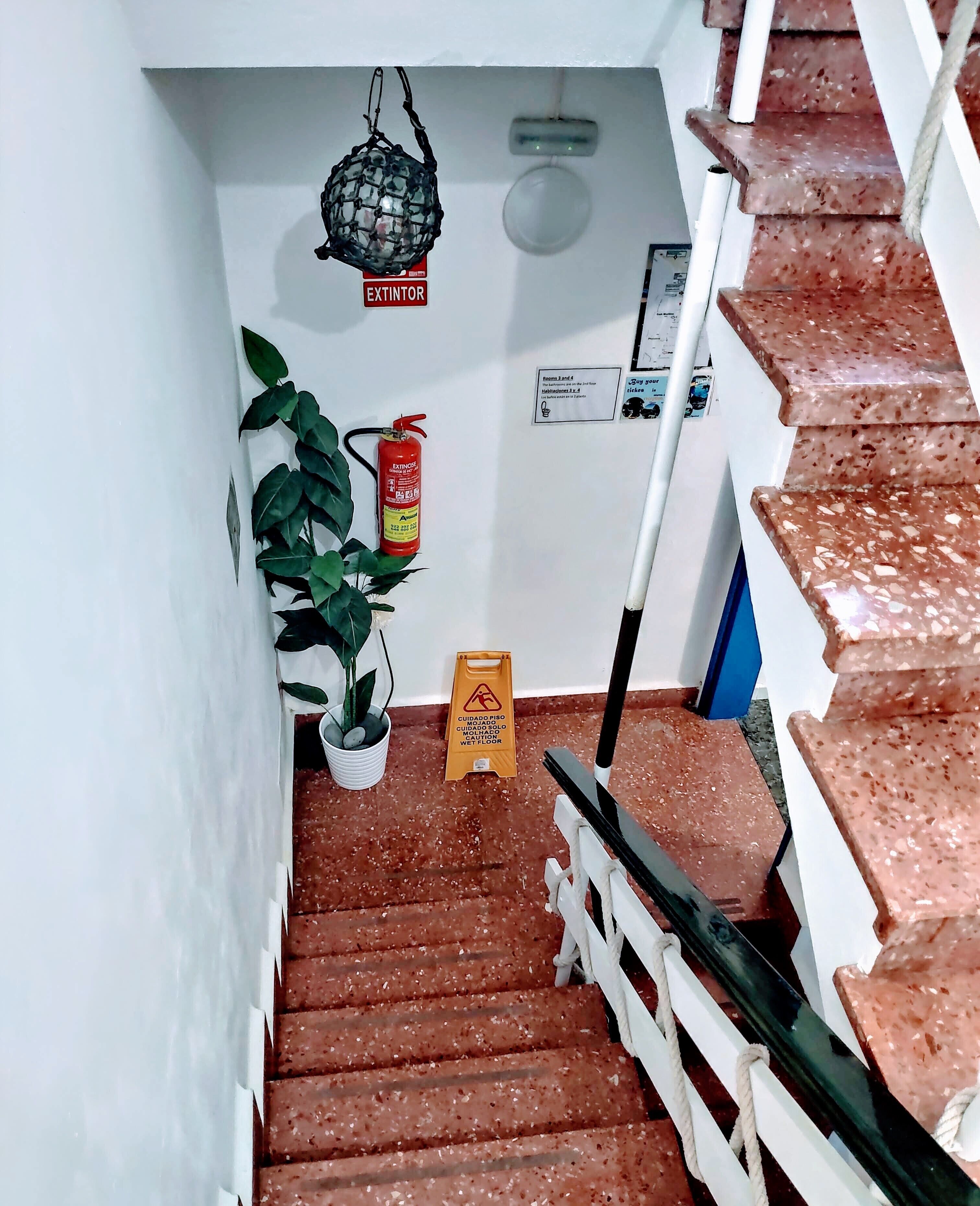 Foto - Hostel Neon Tenerife