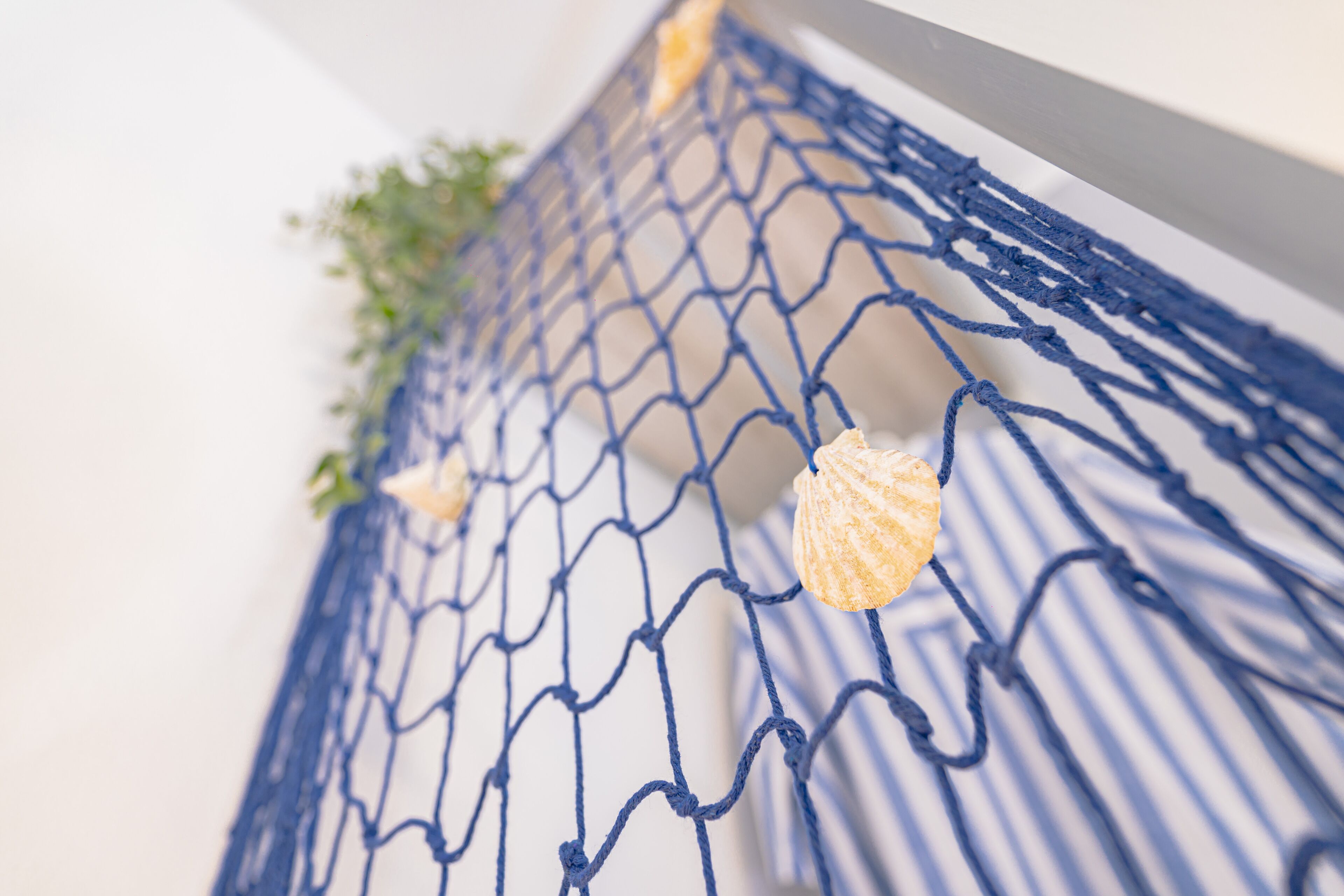Un filet bleu orné de coquillages et d’une plante.