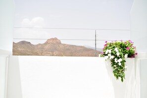 A white wall with a mountain view and a hanging planter with flowers. - Hostel Neon Tenerife (Arona)