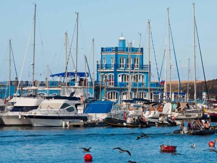 A marina with multiple boats docked, a prominent blue building with a tower, and a clear sky.