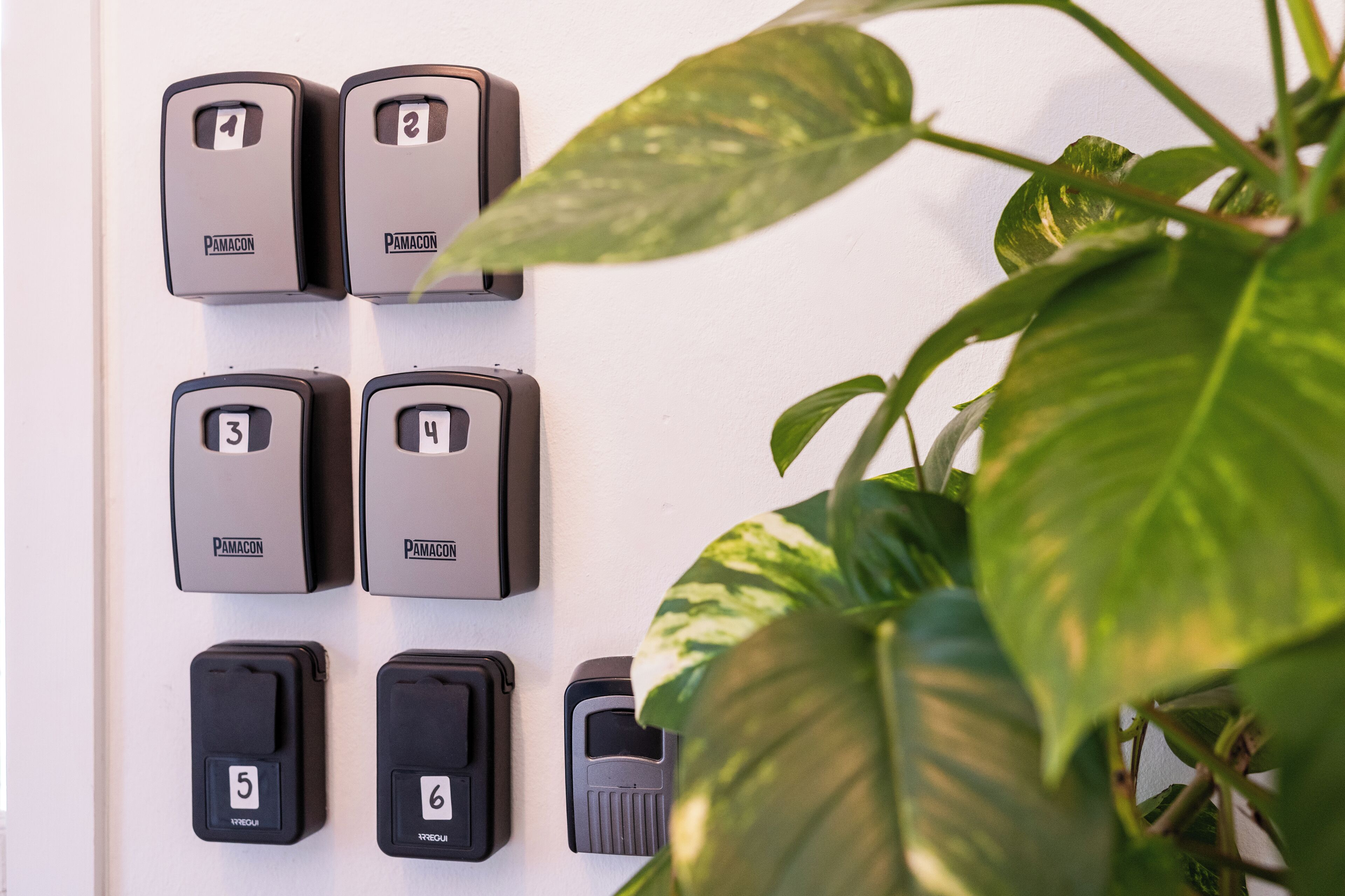 Foto - Hostel Neon Tenerife