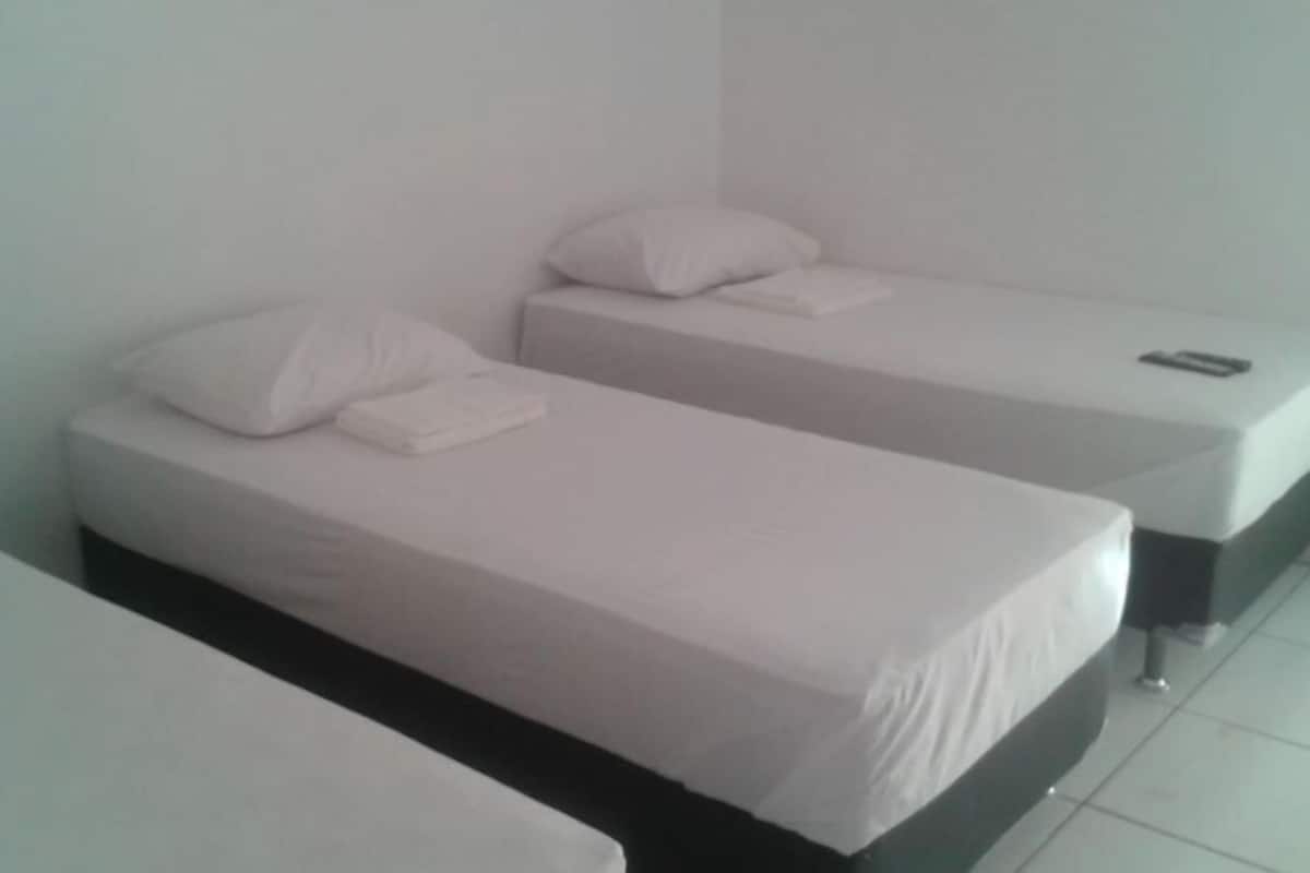 triple room, 3 single beds | minibar, free wifi, bed sheets