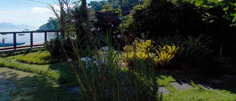 A garden with various plants and a pathway leading to a body of water.