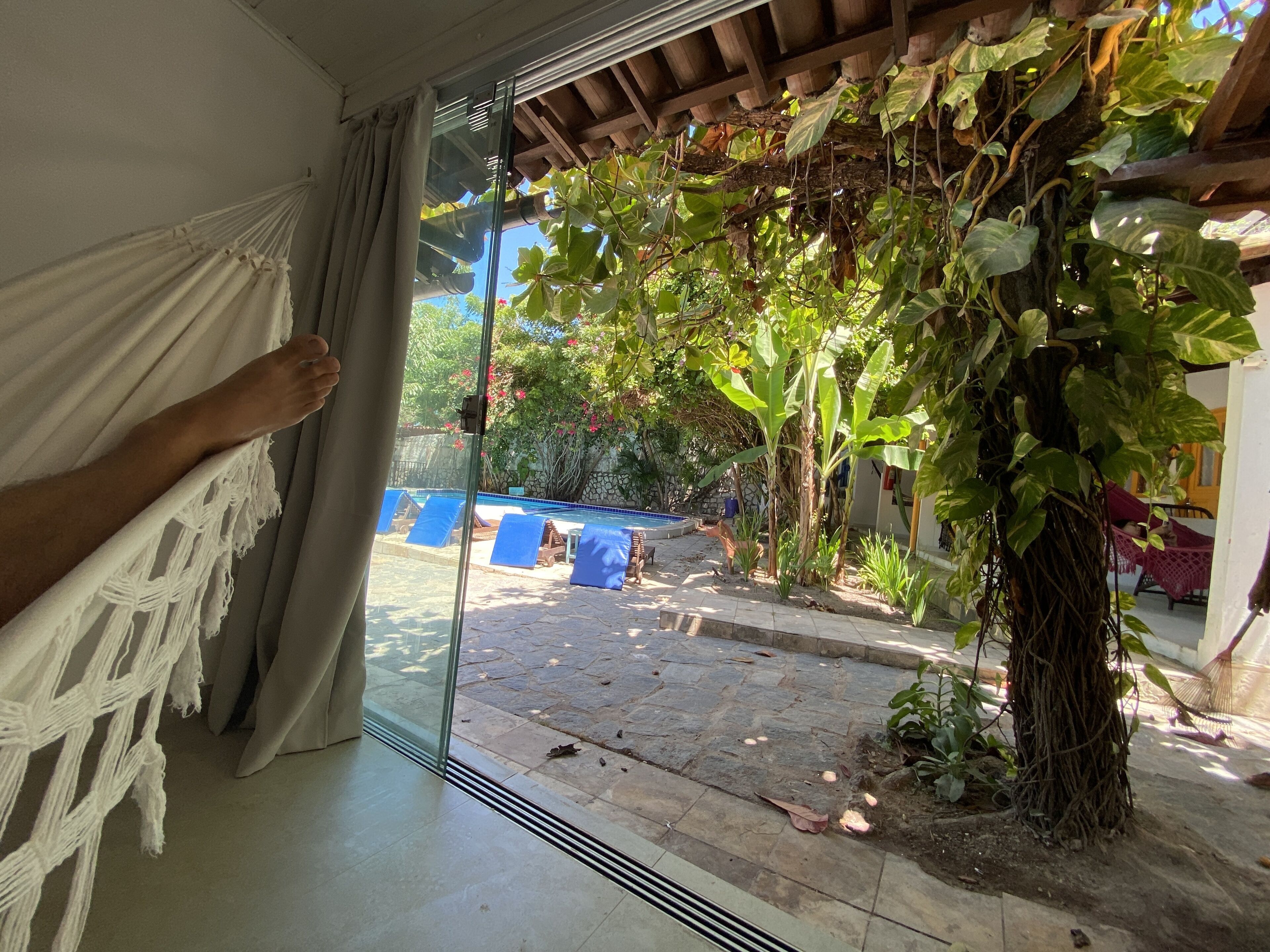 On aperçoit, à travers une porte vitrée, une pièce où se trouvent un hamac, une piscine et un jardin agrémenté de différentes plantes.