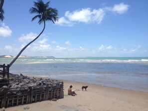 A beach with a wooden fence, a palm tree, and a dog. - Pousada Barbara (Tibau do Sul)