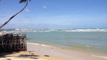 A beach with a wooden fence, palm trees, and ocean waves.
