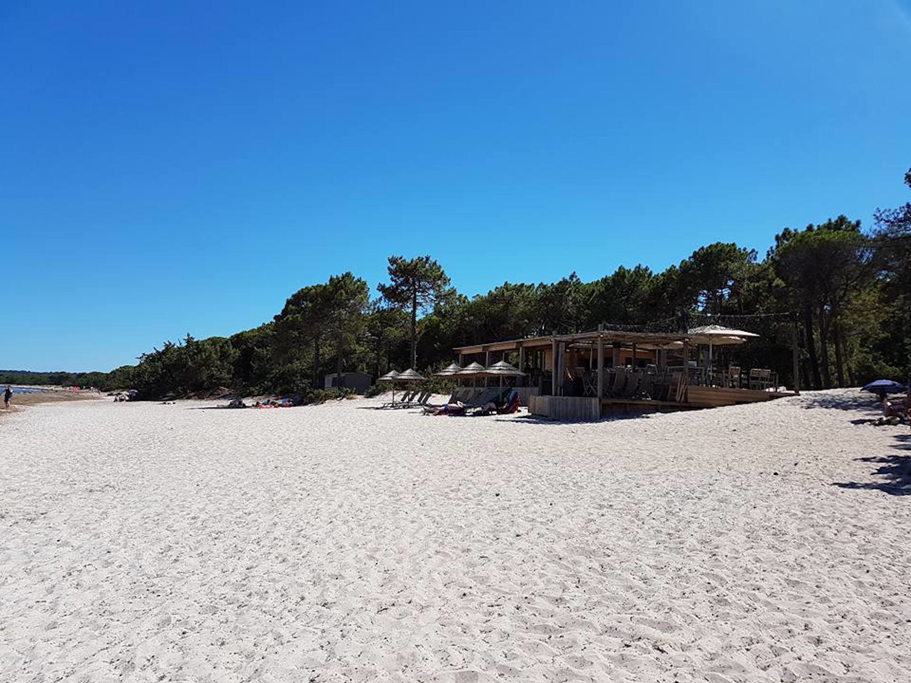 A beach with a wooden structure providing shade, surrounded by trees.