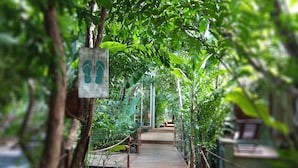 Un sentier en bois, aménagé dans un environnement luxuriant et verdoyant, est signalé par un panneau indiquant un chemin piétonnier.