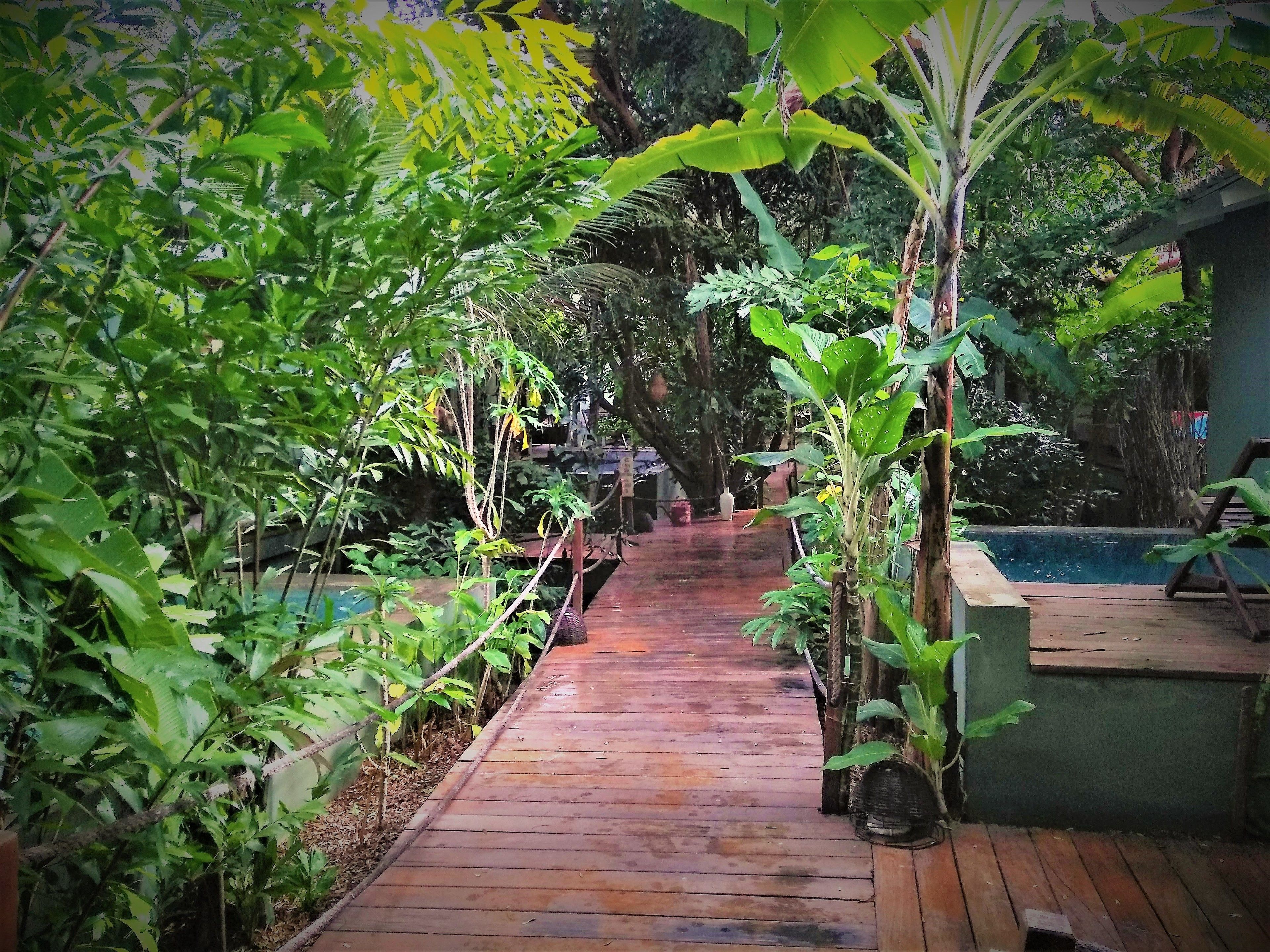 Um caminho de madeira ladeado por vegetação exuberante, conduzindo a uma área de piscina.