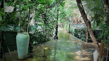 Jardin