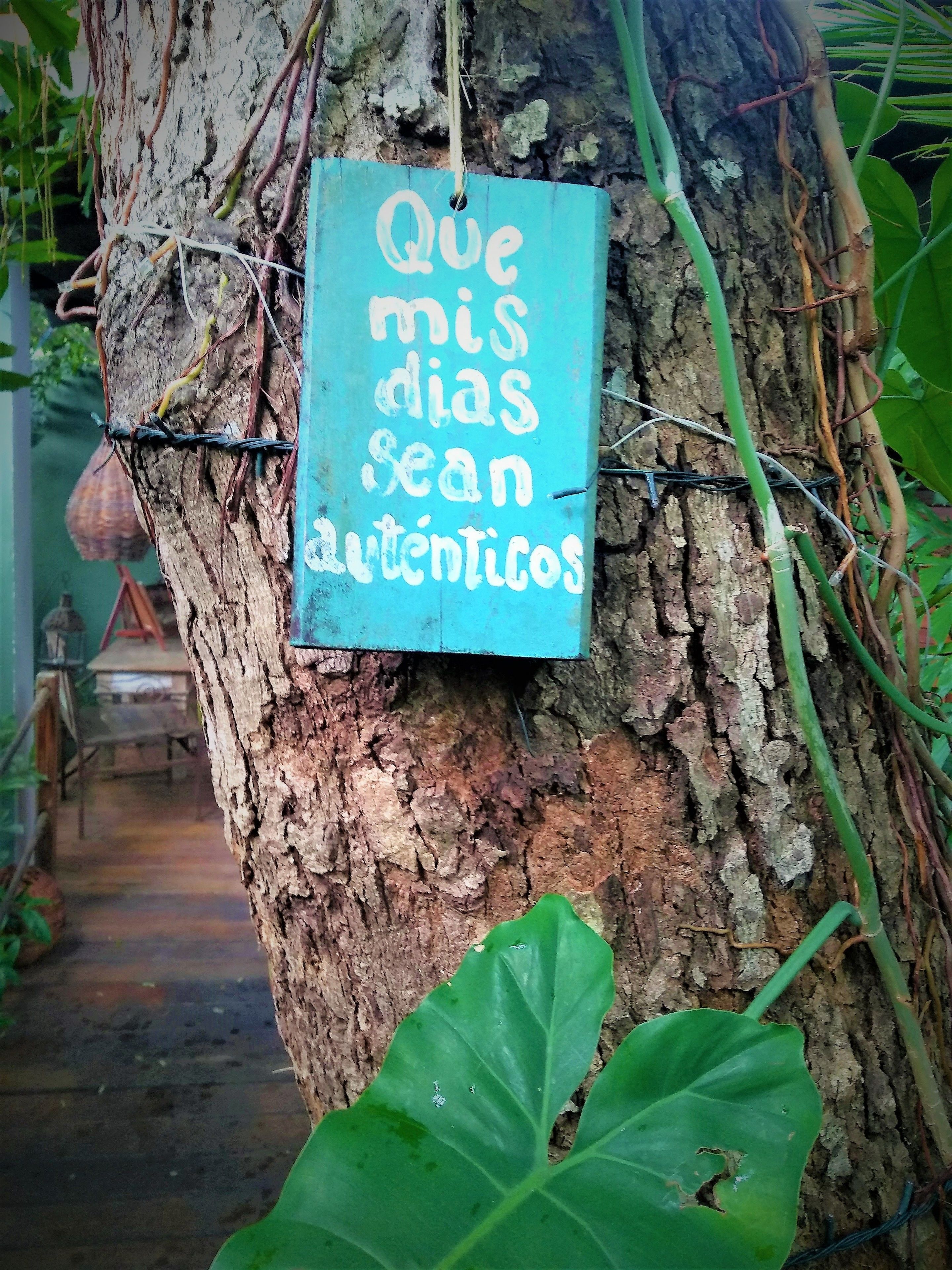 A sign with text attached to a tree trunk.