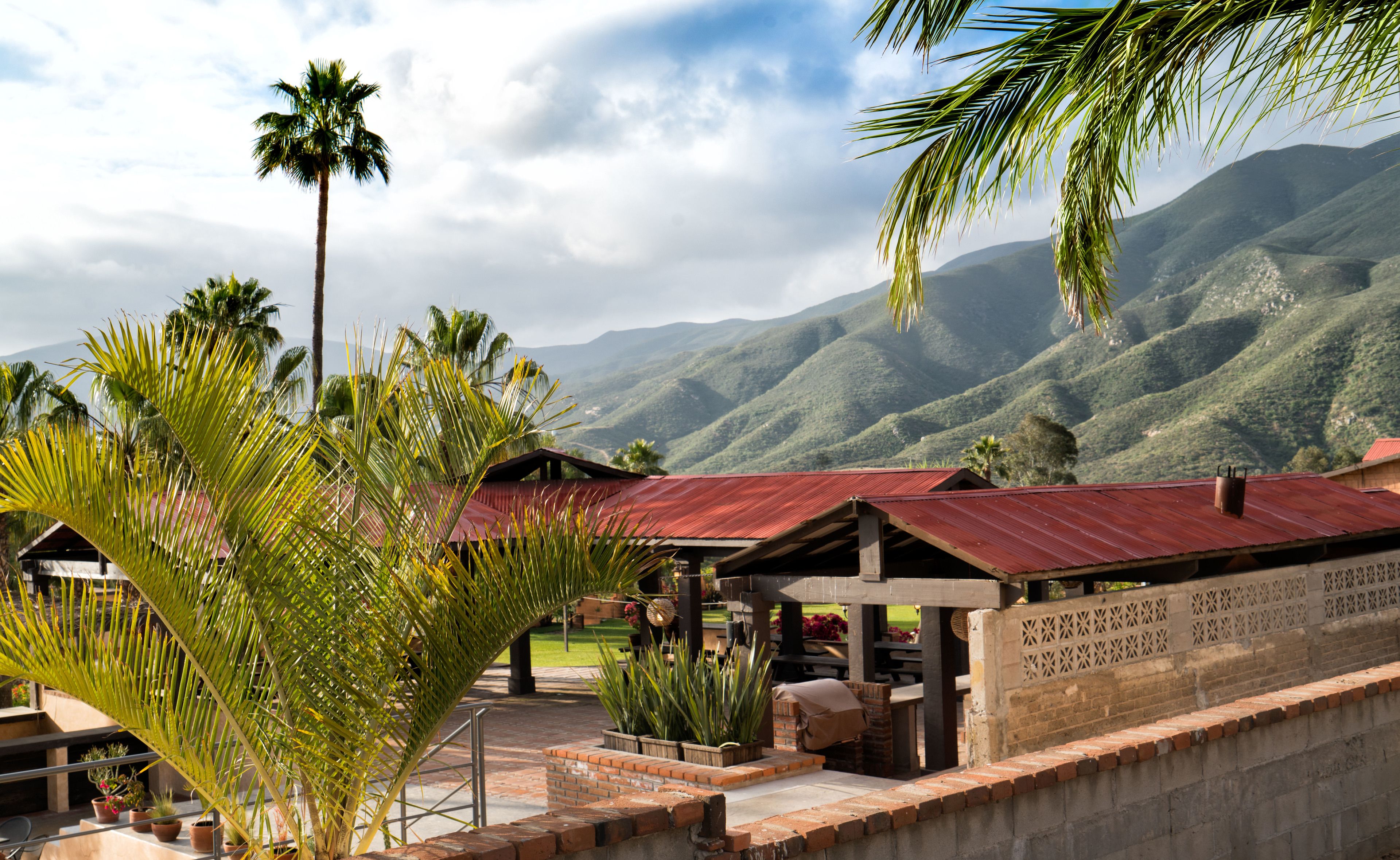 Outdoor wedding area