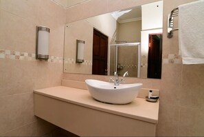 A bathroom with a white sink, a large mirror, and a shower area. - Cygnature Boutique Lodge (Modderrivier)