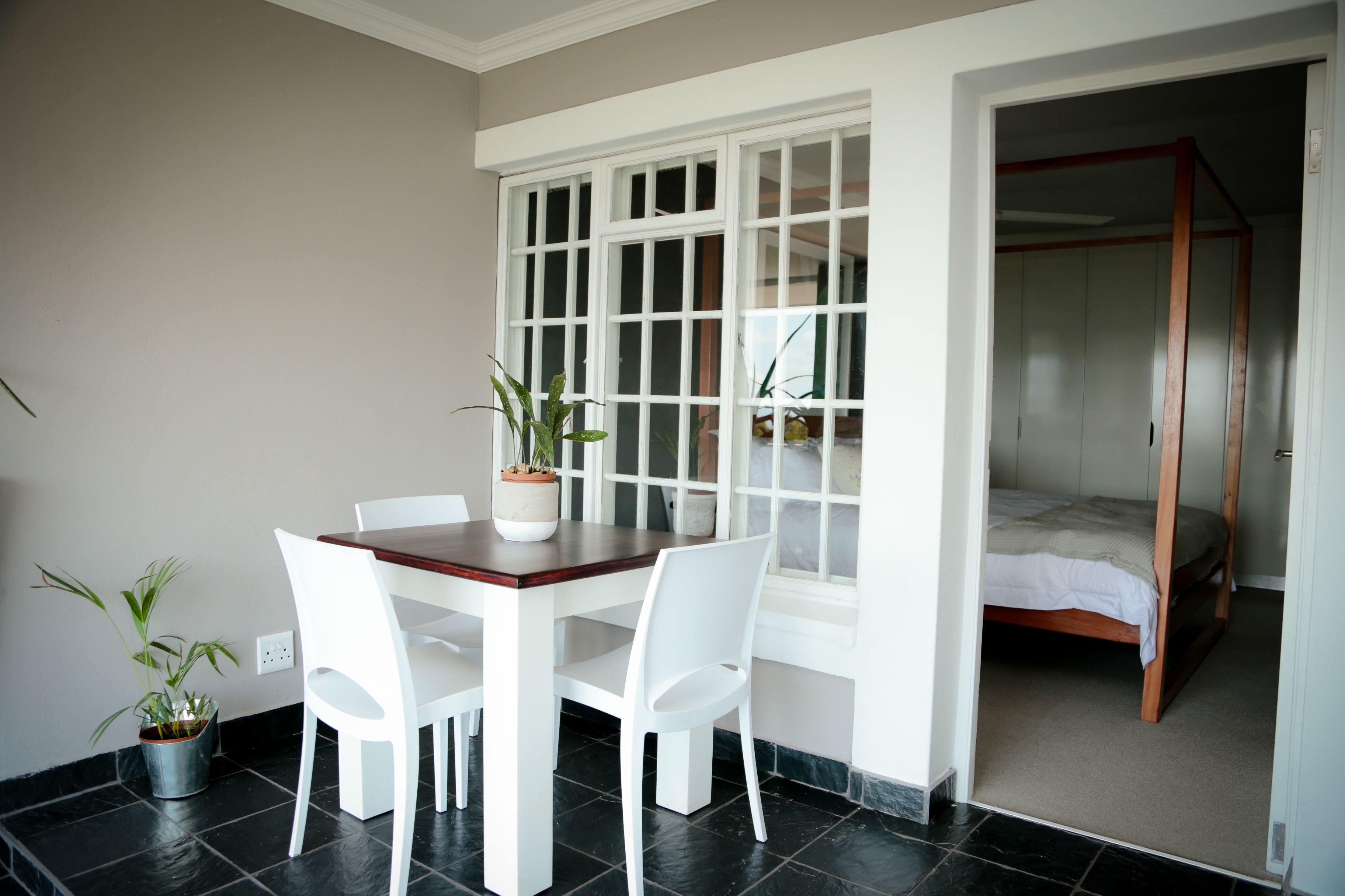 A room with a dining table, chairs, a potted plant, a window, and a bed.