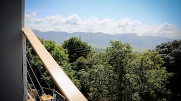 Double Room (King)  | Balcony