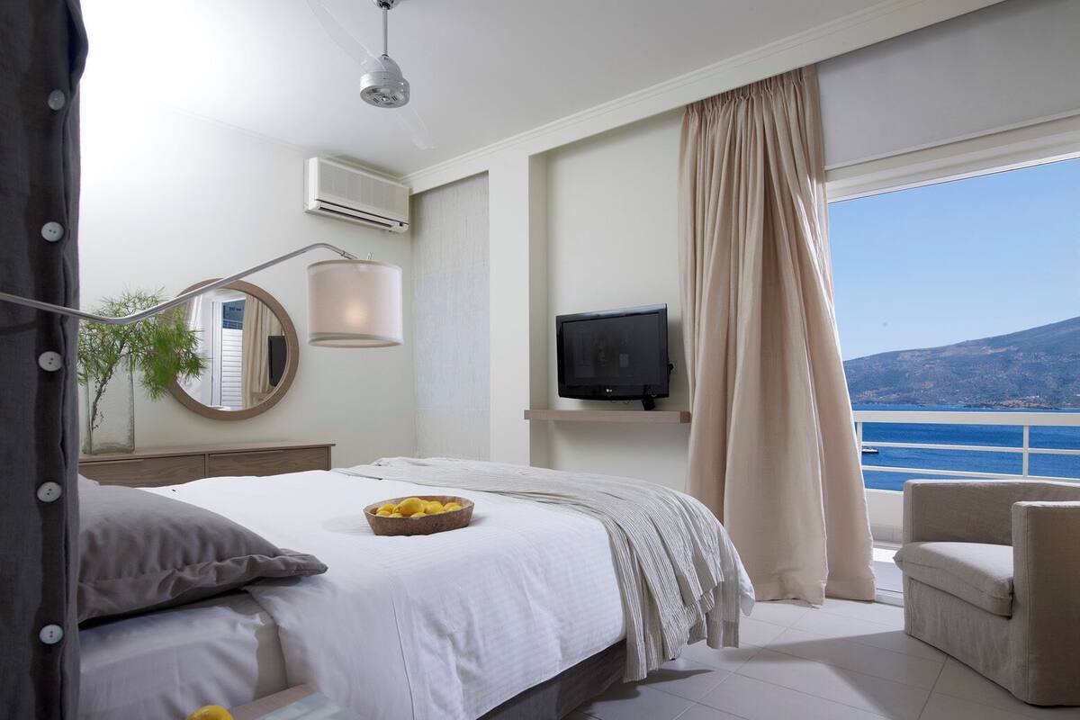 A bedroom with a bed, a TV, a plant, and a view of the sea.