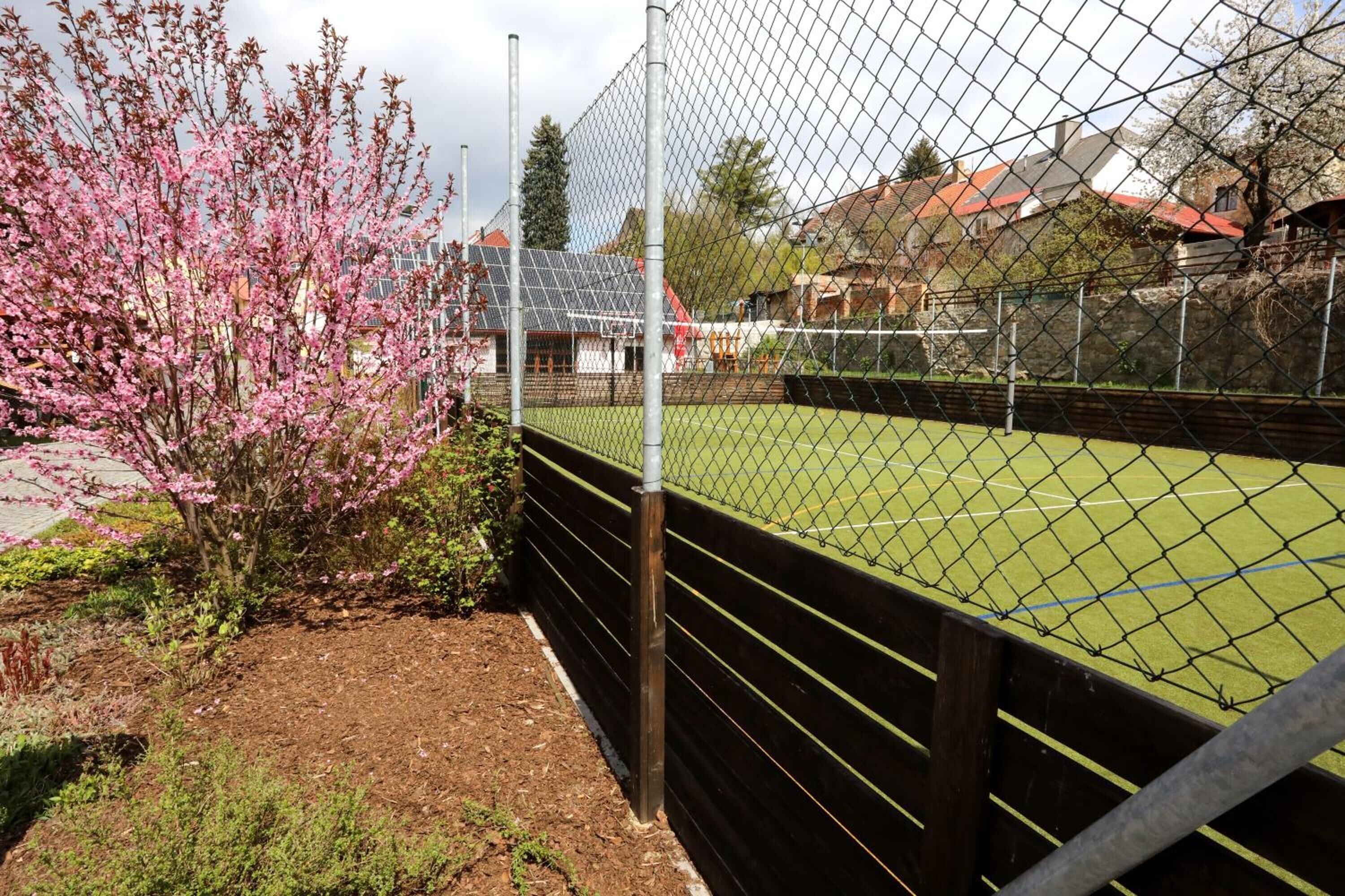 A fenced sports court with a green surface, surrounded by a chain-link fence and a flowering tree.