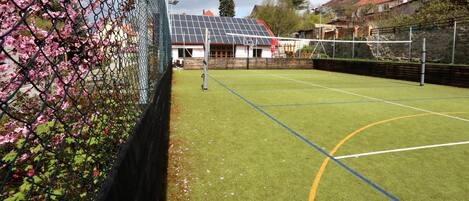 An outdoor sports court with a solar panel roof, surrounded by a chain-link fence and flowering bushes.