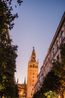 Un edificio histórico con una torre destacada, rodeado de árboles y otros edificios.