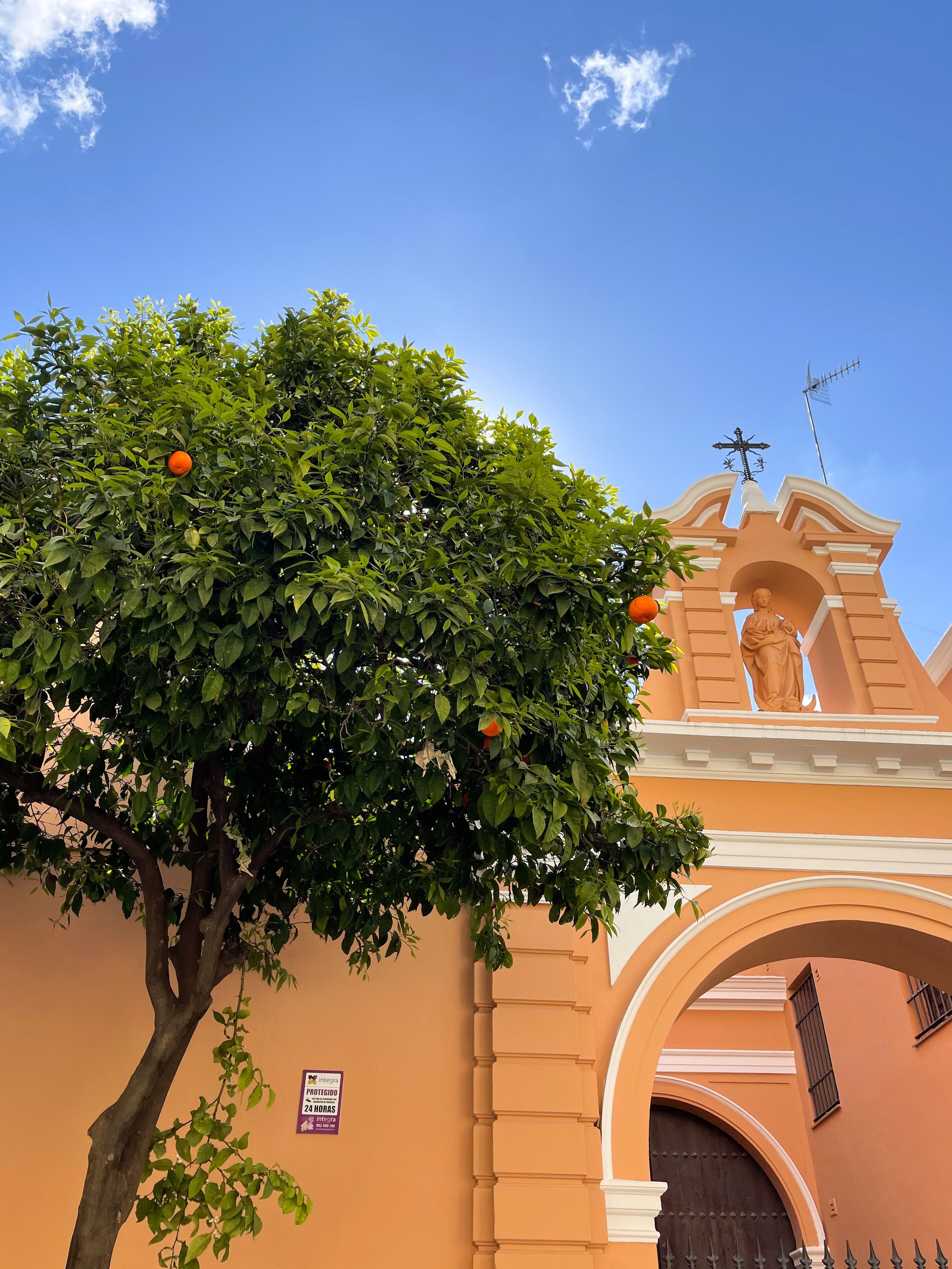 Photo - Legado Alcazar Hotel