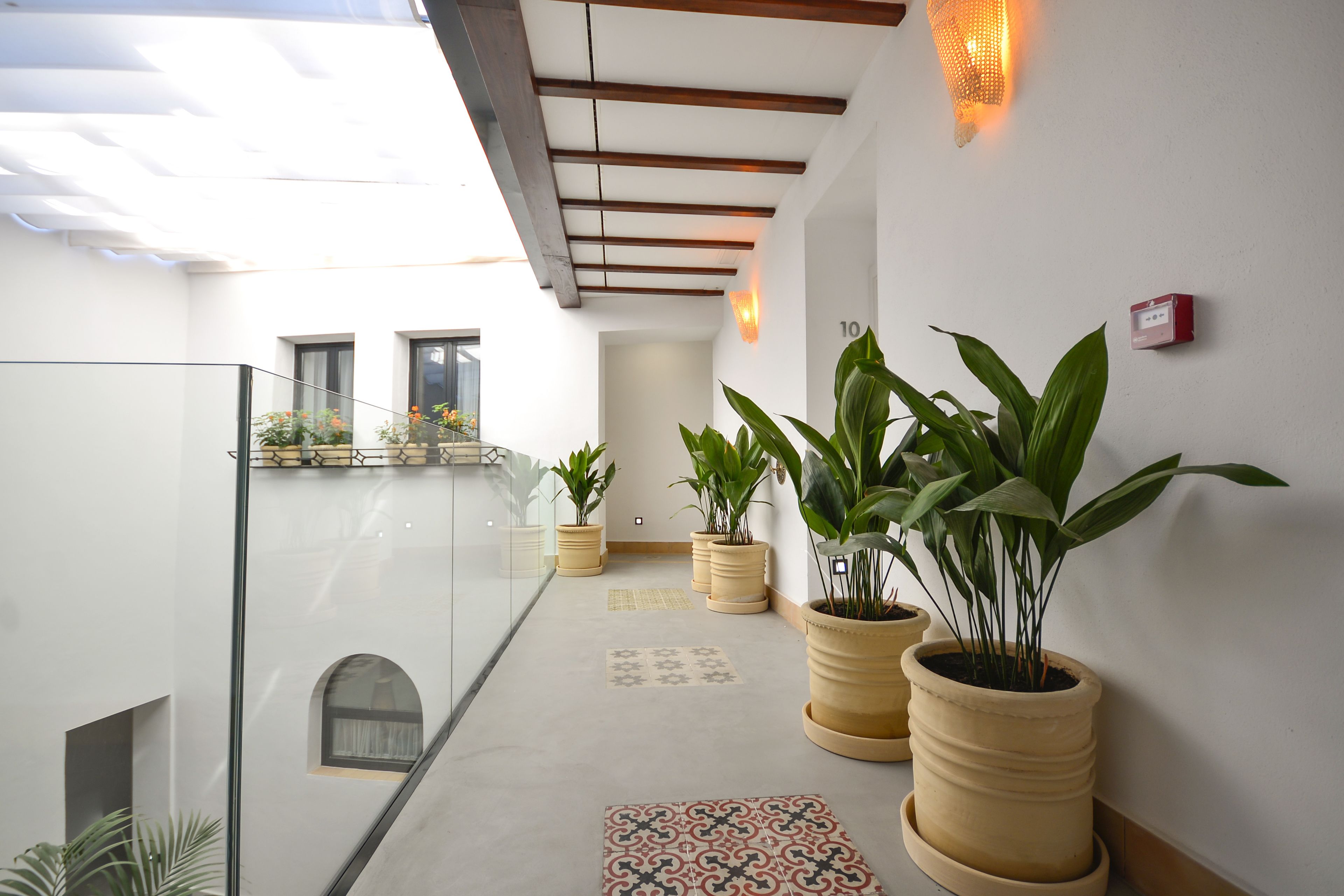 A modern interior with a glass balustrade, potted plants, and a patterned floor.