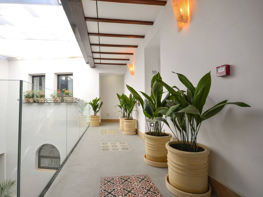 A modern interior with a glass balustrade, potted plants, and a patterned floor.