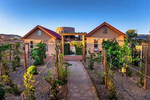 Garden view - Willow Street Cottages (Bluff)