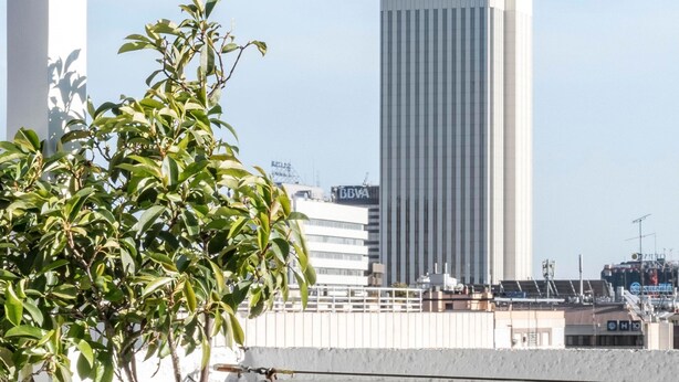 Ein Balkon mit einem Blumentopf, einem weißen Sofa mit blauem Kissen und Blick auf ein hohes Gebäude im Hintergrund.