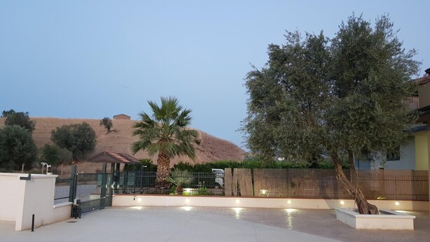 Un espace extérieur aménagé en patio, avec un palmier, une clôture en bois et une vue sur une colline surmontée d’une construction.