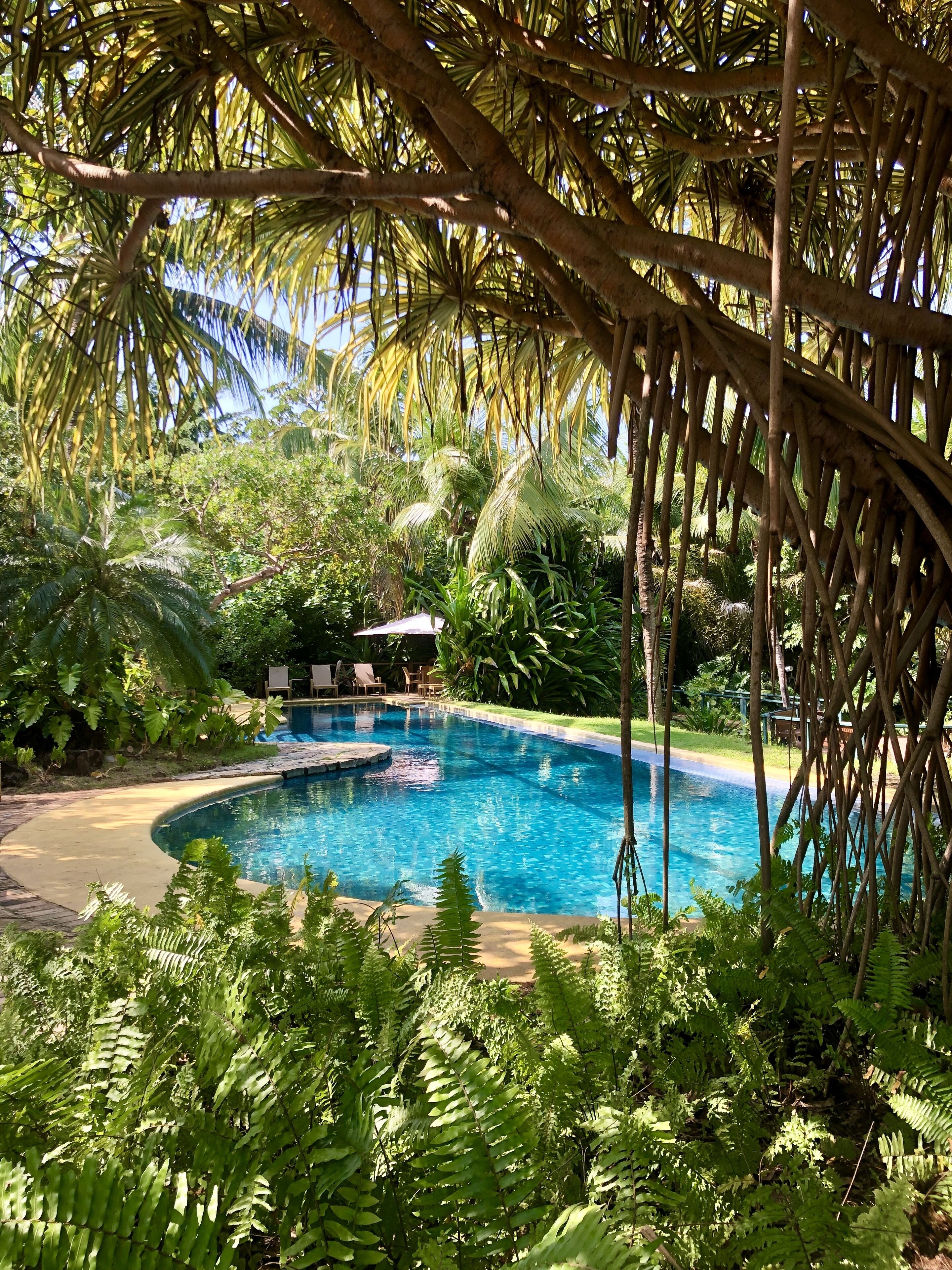3 buitenzwembaden, ligstoelen bij het zwembad
