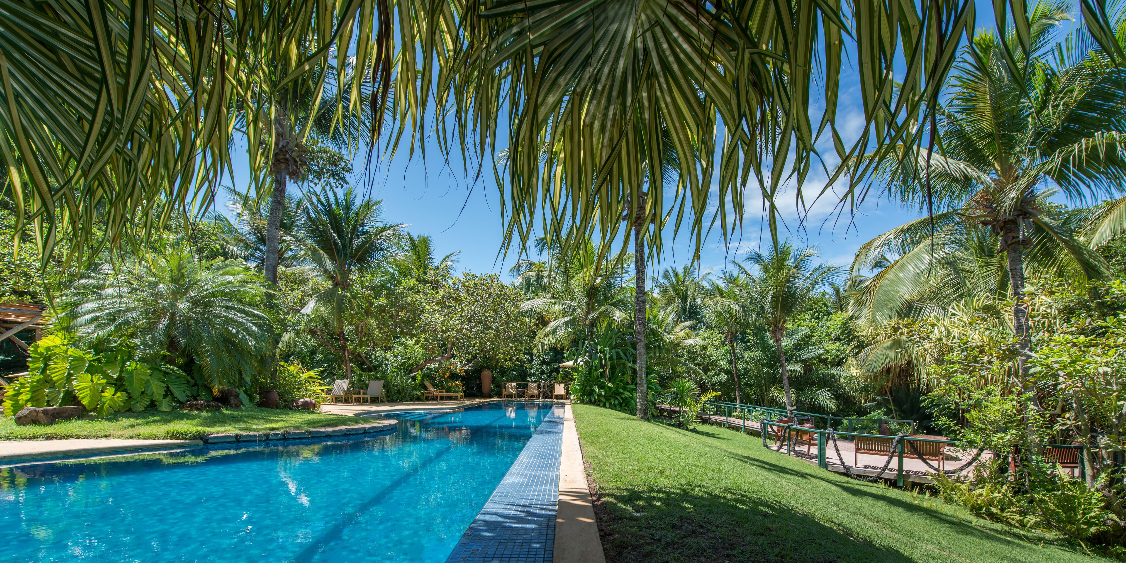 Ein Swimmingpool, umgeben von Palmen und Grün, mit blauem Himmel.