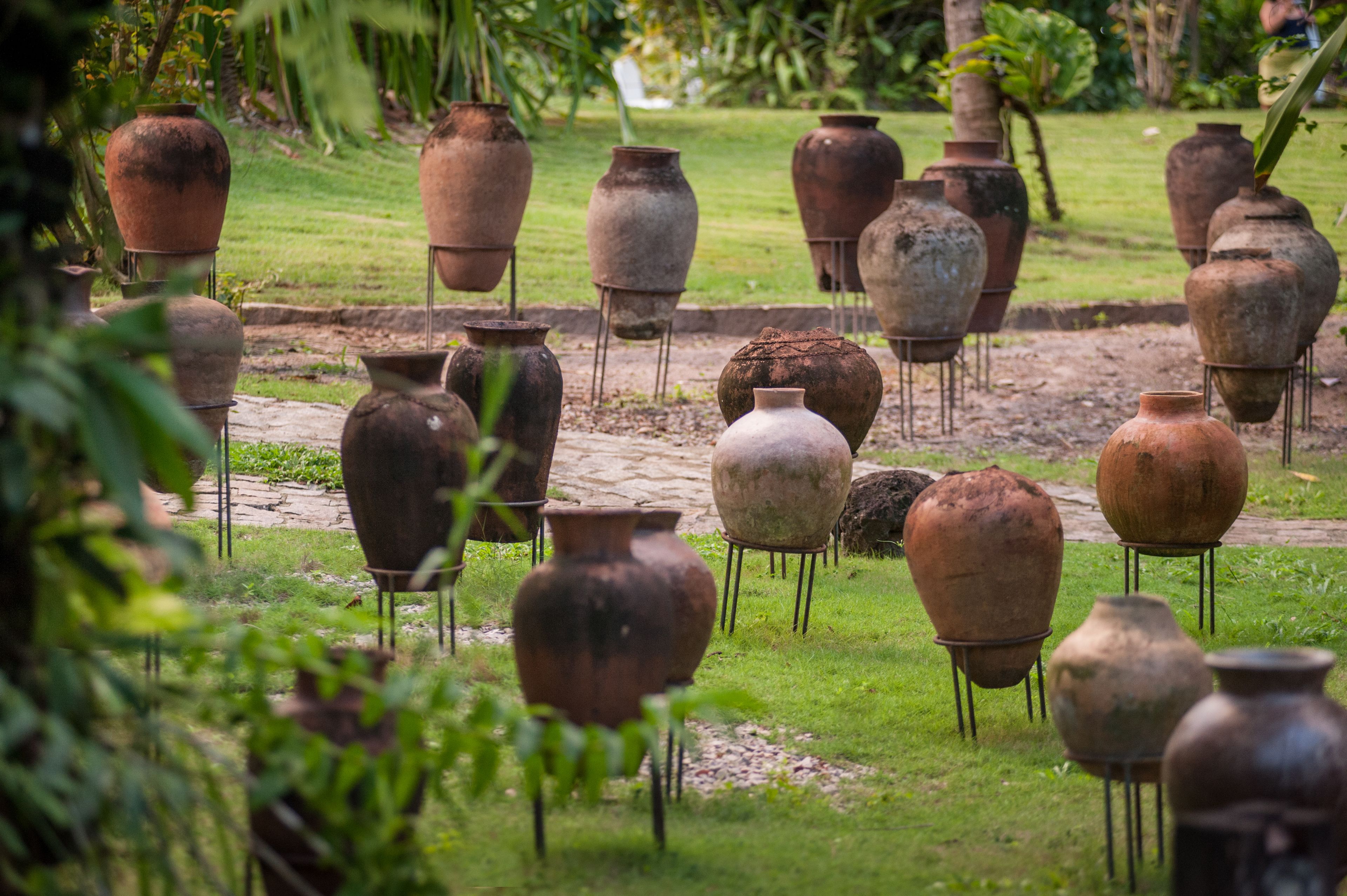 Photo - Toca da Coruja