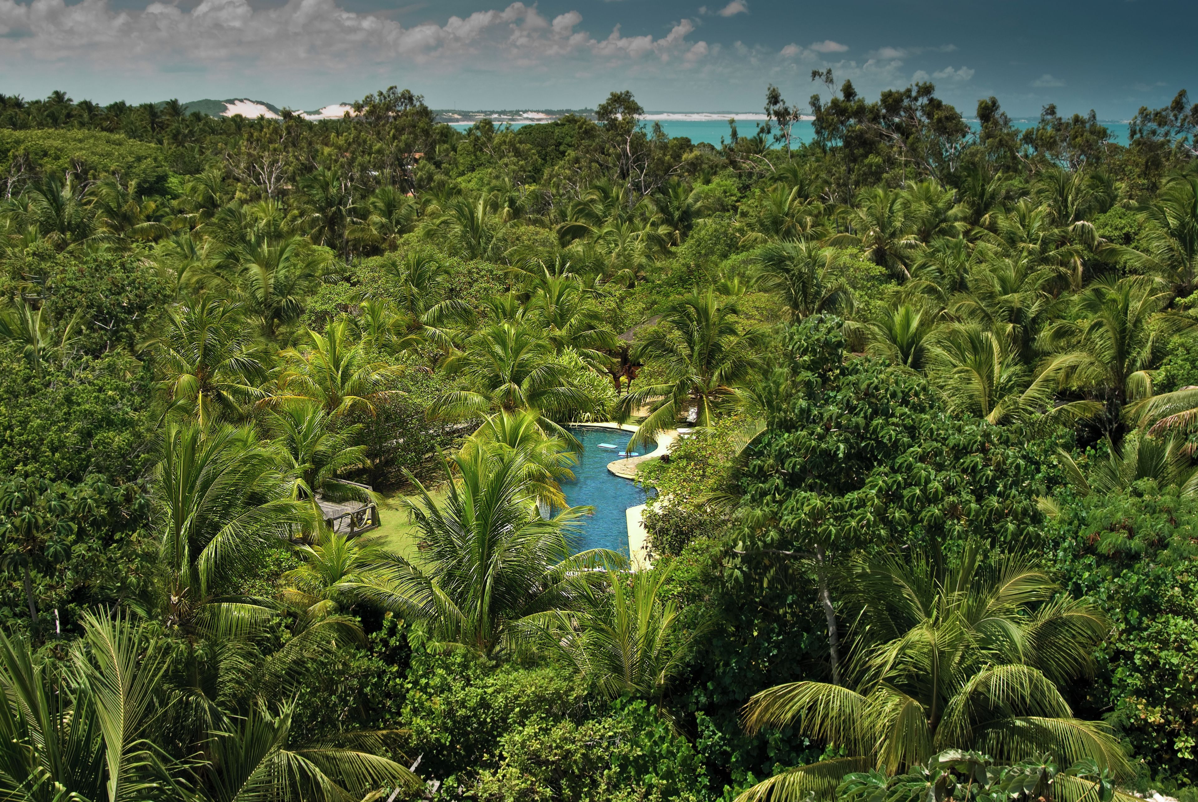 Un resort tropical con abundante vegetación, una piscina y vistas al océano.