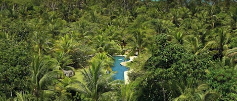 Un resort tropical con abundante vegetación, una piscina y vistas al océano.