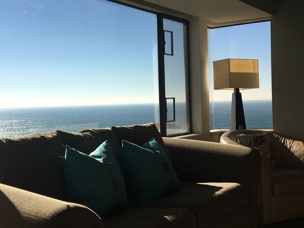 TV connectée, cheminée, livres, vidéothèque