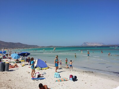 "The House of the Elves"