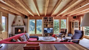 Télévision, cheminée, lecteur de DVD, chaßne hi-fi