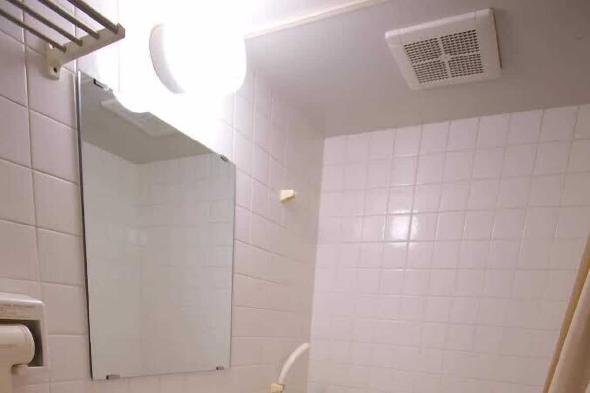 Combined shower/tub, hydromassage showerhead, free toiletries